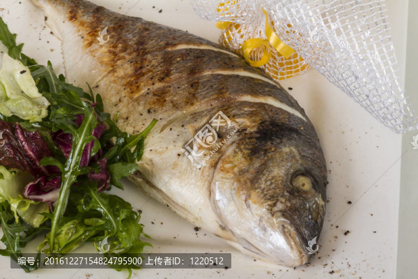 金色與白色的盤(pán)子沙拉魚(yú)。工作室拍攝