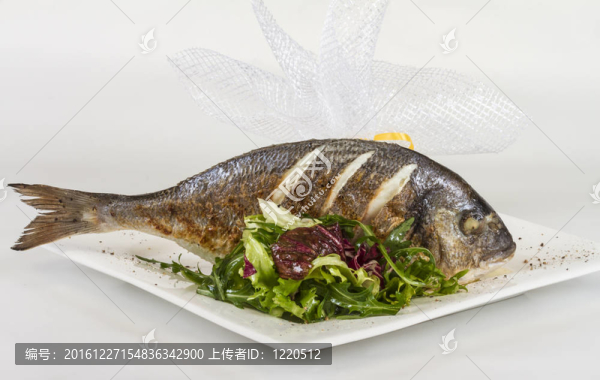 金色與白色的盤(pán)子沙拉魚(yú)。工作室拍攝