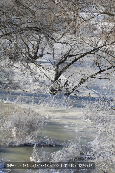 冬季景觀