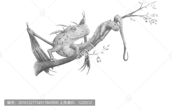 木頭龍