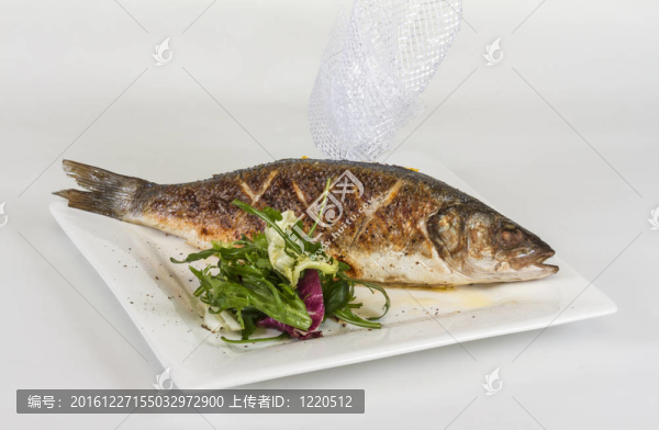 蔬菜鱸魚(yú)