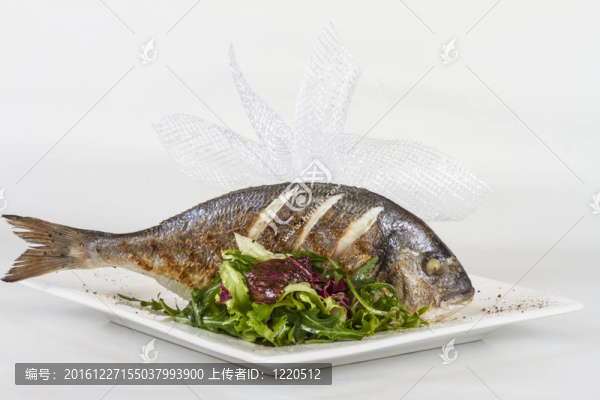 金色與白色的盤(pán)子沙拉魚(yú)。工作室拍攝