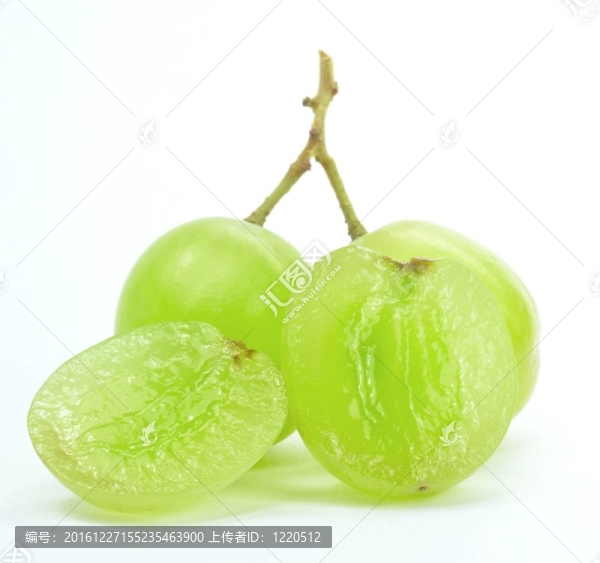 白底葡萄