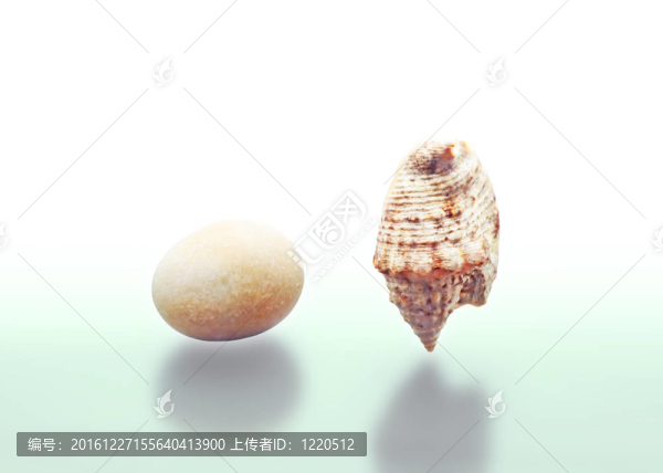 殼和Stone