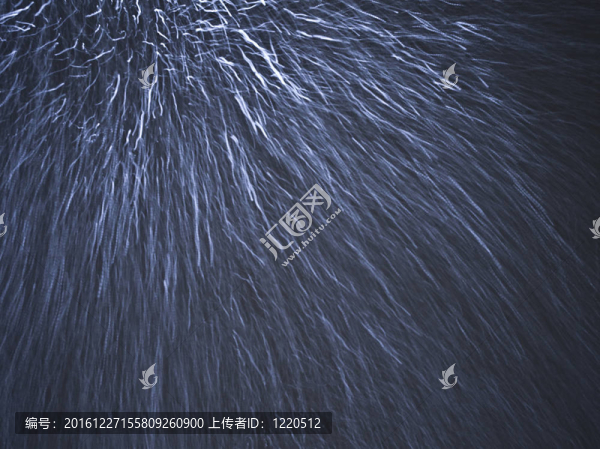 夜晚的雪