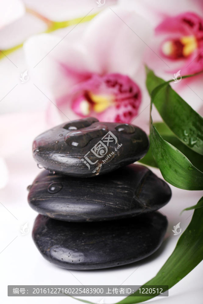 SPA石與美麗蘭花