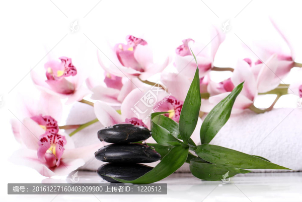 SPA石與美麗蘭花