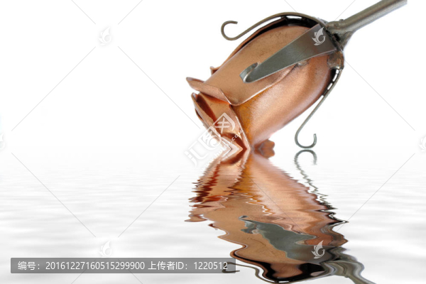 水中玫瑰