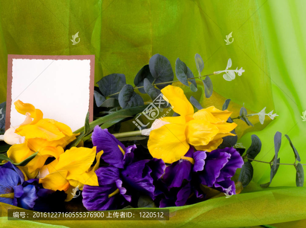 春季鮮花加旗幟