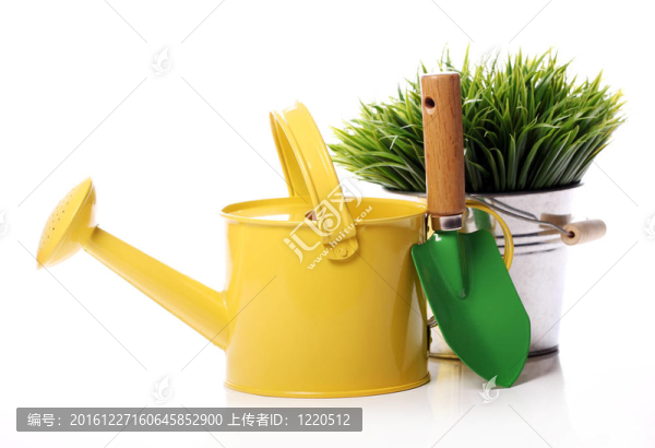 不同的園藝的東西