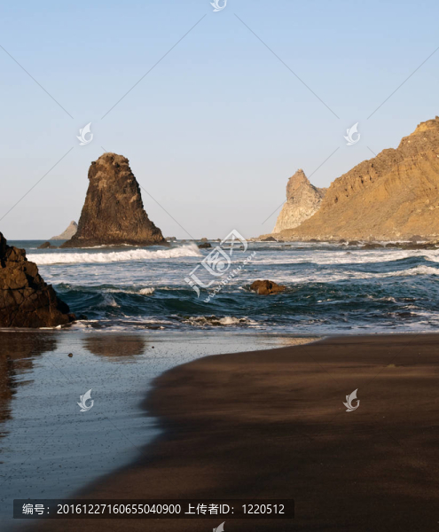 海與胰島