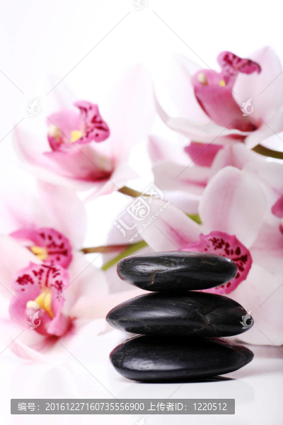 SPA石與美麗蘭花