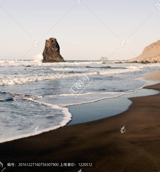 海與胰島