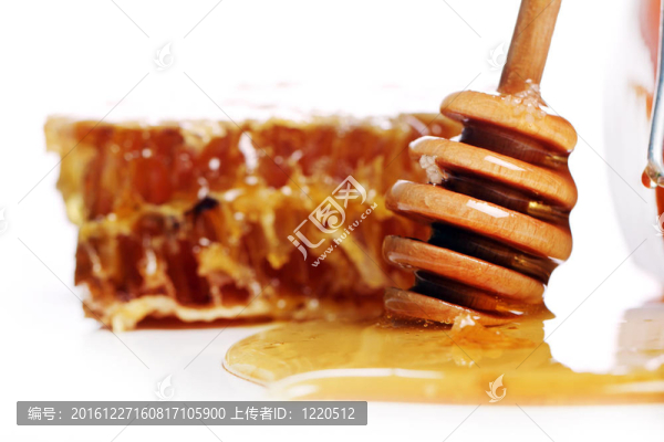 新鮮的蜂巢