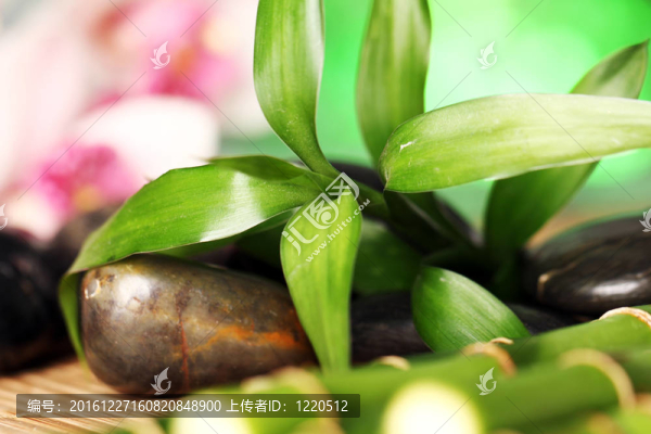 水療和健康