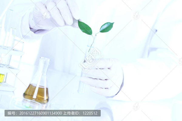 植物科學(xué)實驗