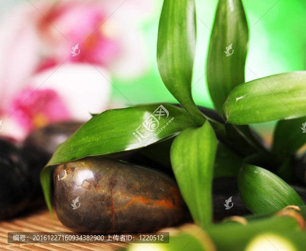 水療和健康