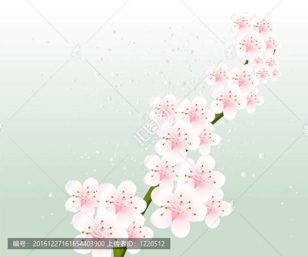 花的插圖