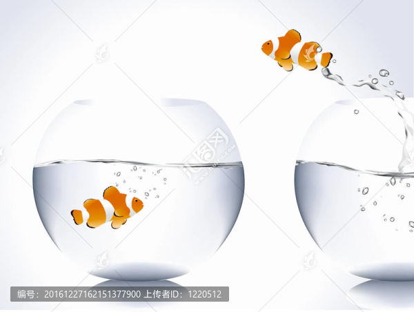 小丑魚