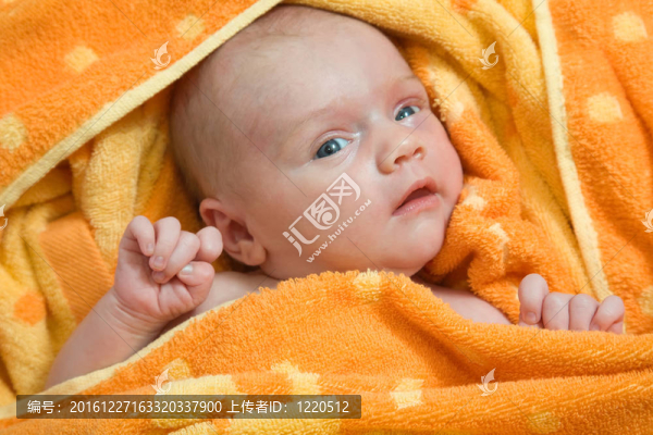 新生的嬰兒