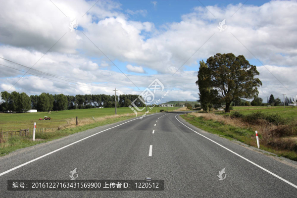 新西蘭公路