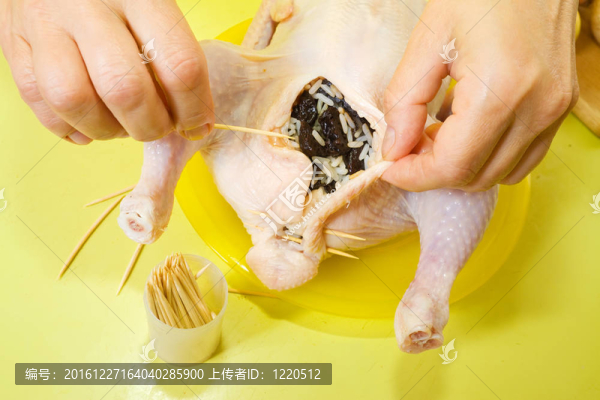 縫紉雞