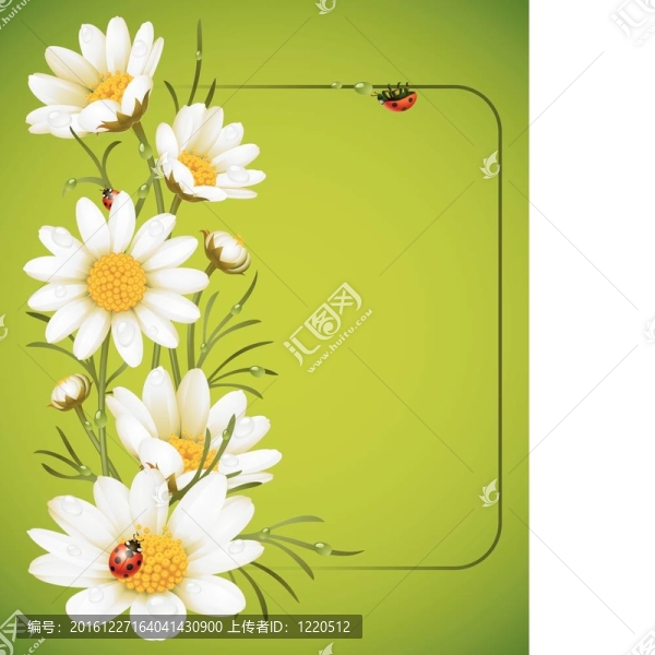 甘菊15幀