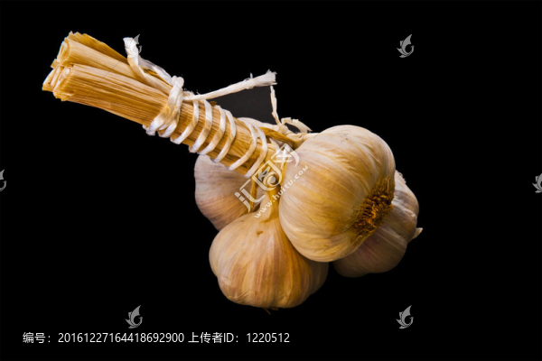 三蒜頭