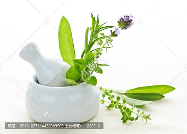 在研缽和杵草藥