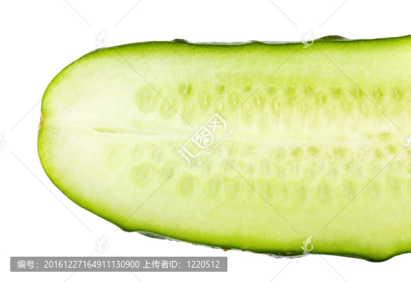白背黃瓜