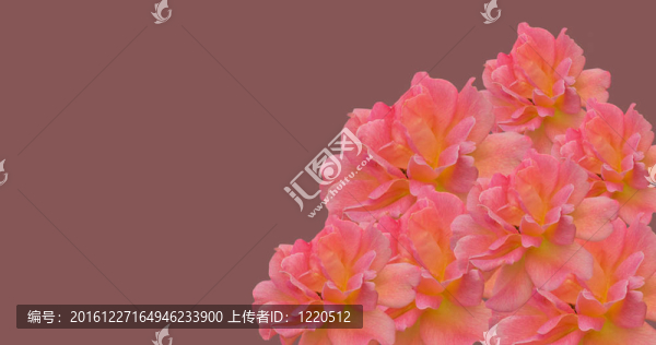 粉色母親節(jié)邊框邊框與復(fù)制空間