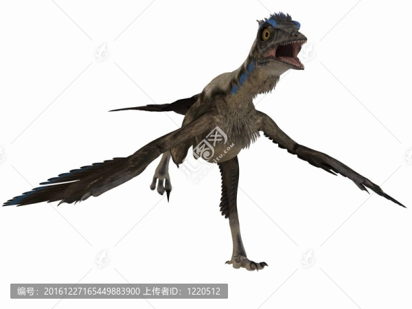 始祖鳥的3D恐龍
