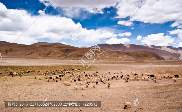 山區(qū)道路的觀點(diǎn)