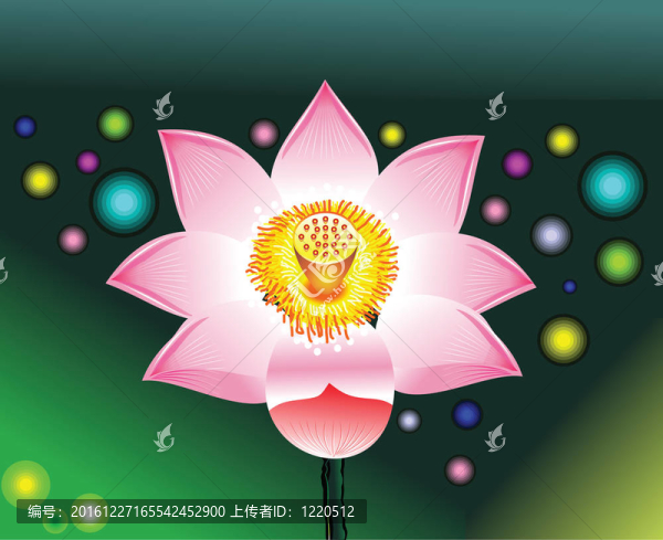 摘要：粉紅色的荷花