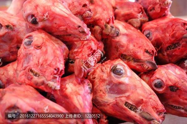 Skinned,Sheep的頭