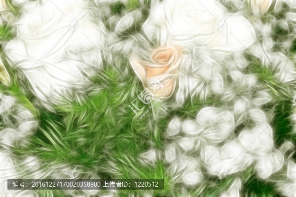花香尾韻