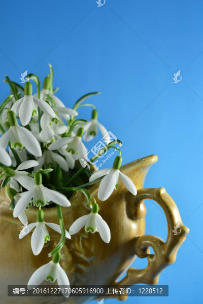 在復古的花瓶美麗的雪花