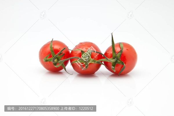 西紅柿