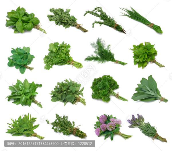 草本植物系列采樣器