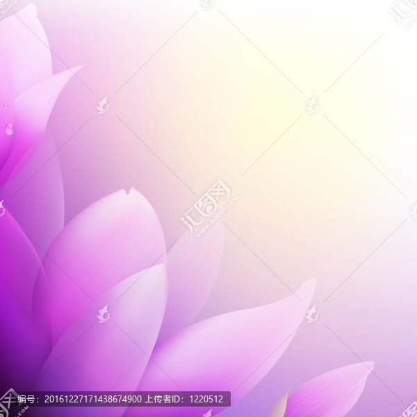 粉紅色的玉蘭
