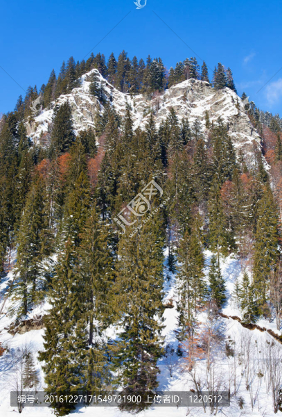 松林山