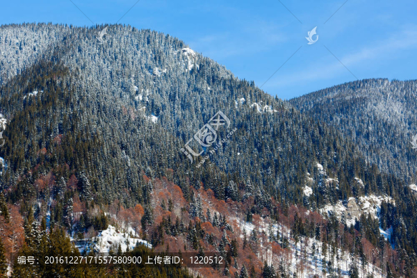松林山