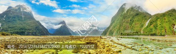 米爾福德峽灣