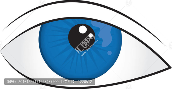 眼球