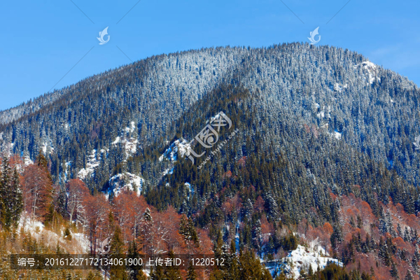 松林山
