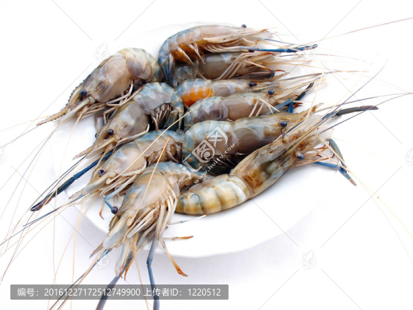 美味鮮蝦海鮮