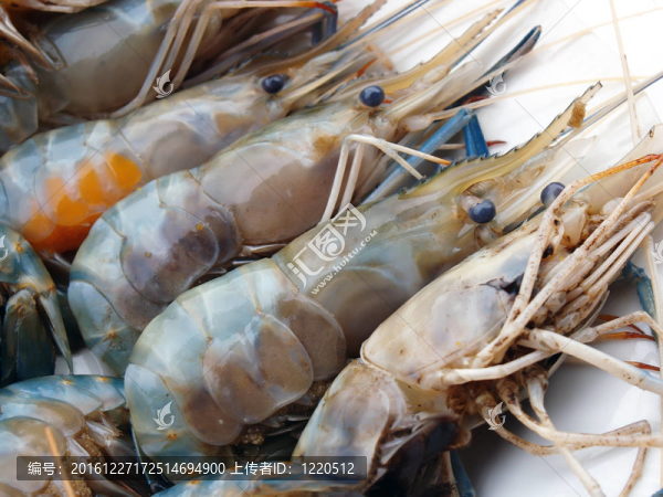 美味鮮蝦海鮮