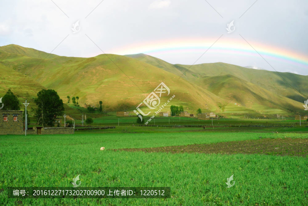 四川；中國；新都橋風光
