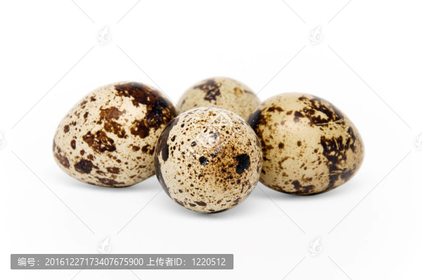 鵪鶉蛋