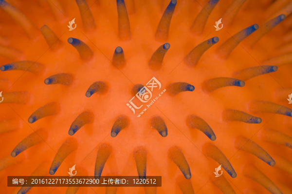 橙色的抽象圖案
